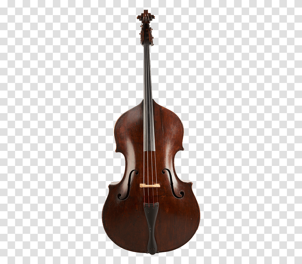 Peter Walmsley Double Bass Double Bass, Cello, Musical Instrument, Violin, Leisure Activities Transparent Png
