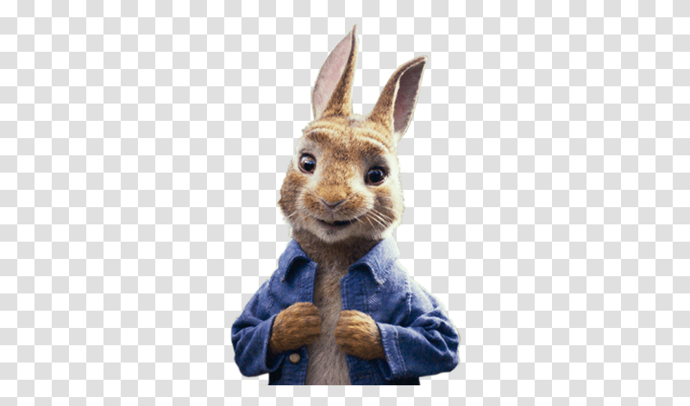 Peter Zajec Peter Rabbit Film Character, Rodent, Mammal, Animal, Bunny Transparent Png