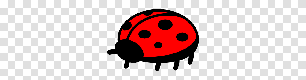 Peterm Ladybug Clip Art Free Vector, Giant Panda, Animal, Dish Transparent Png