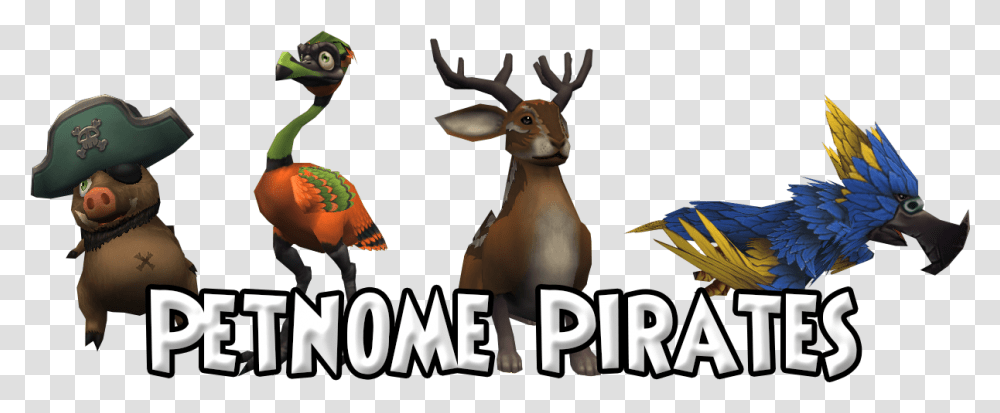 Petnome Pirates Licensed For Non Commercial Use Only Home Animal Figure, Bird, Mammal, Antelope, Wildlife Transparent Png