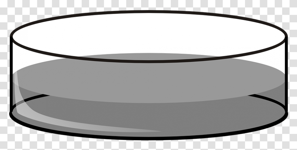 Petri Dish Deep Lab Petri Dish Black And White, Bowl, Tabletop, Furniture, Bathtub Transparent Png
