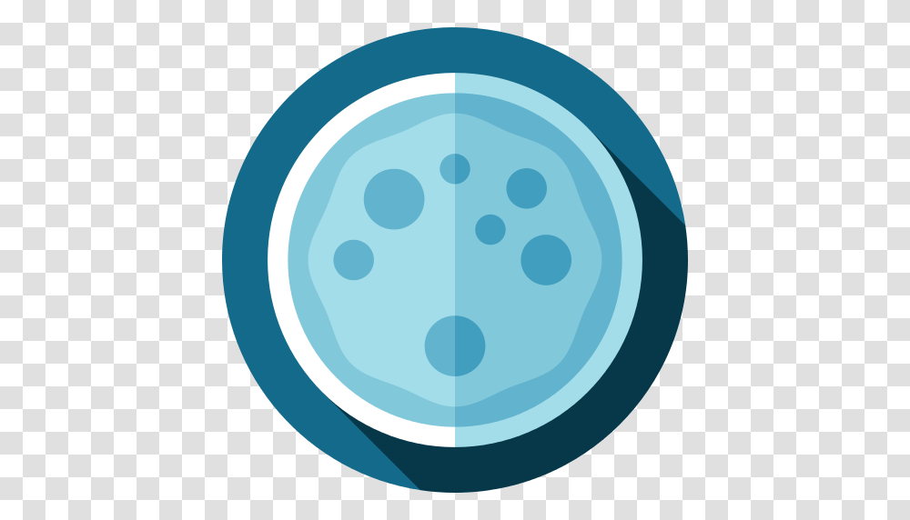 Petri Dish Icon, Sphere, Crystal, X-Ray, Medical Imaging X-Ray Film Transparent Png