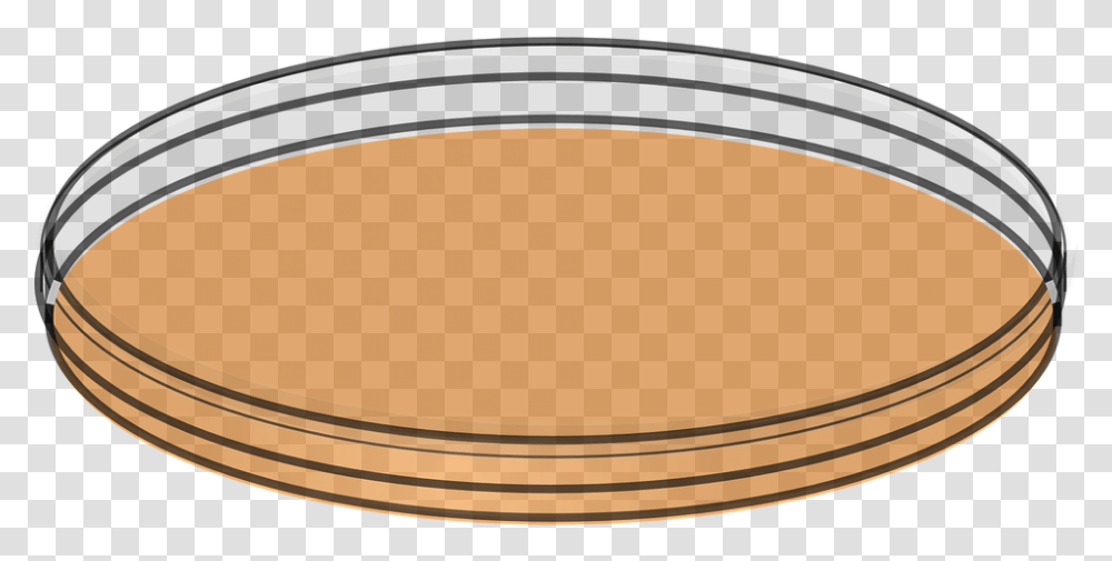 Petri Dish, Oval Transparent Png