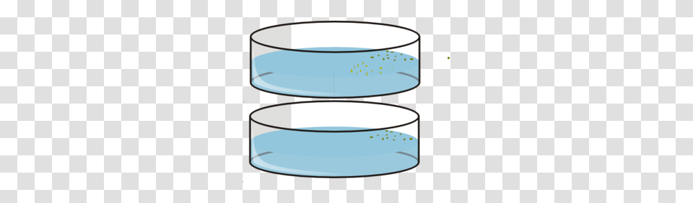 Petri Dishes With Seeds Clip Art, Bowl, Oval, Cylinder, Meal Transparent Png