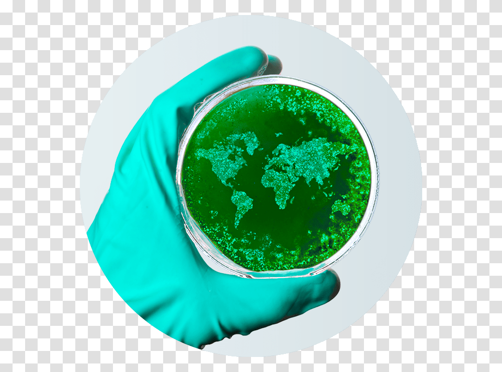 Petri World Corono Virus Petri Dish, Paint Container, Green, Turquoise Transparent Png