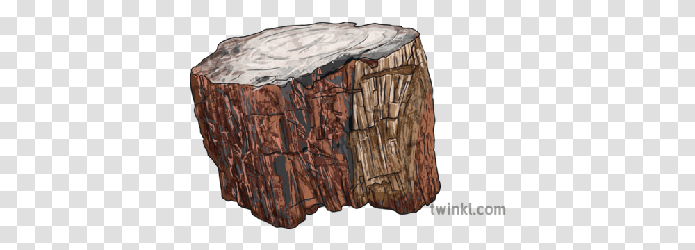 Petrified Wood Fossil Stone Tree Bark Petrified Wood Tree Bark, Rock, Tree Stump, Archaeology, Soil Transparent Png
