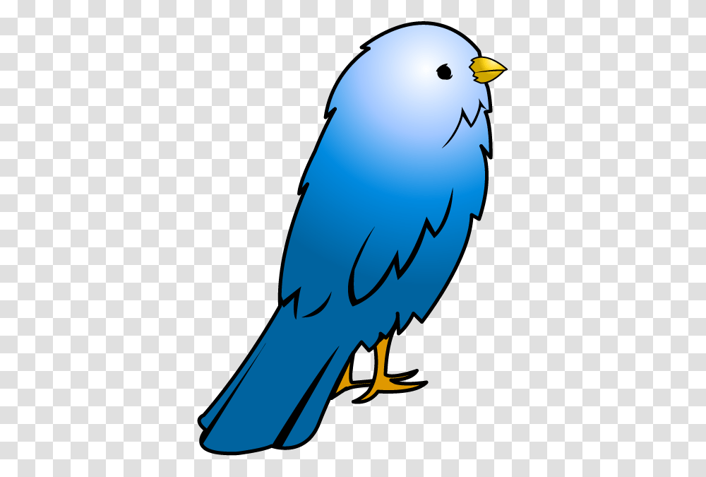 Pets Clipart Birdie, Animal, Jay, Blue Jay Transparent Png