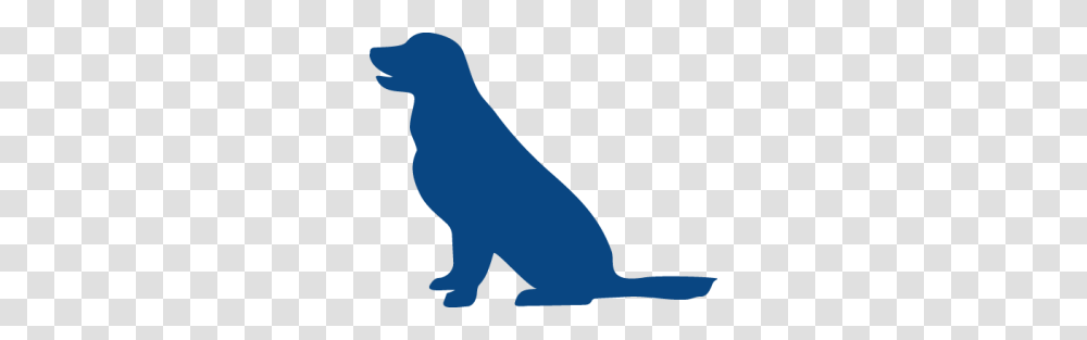 Pets For Vets, Mammal, Animal, Wildlife, Person Transparent Png