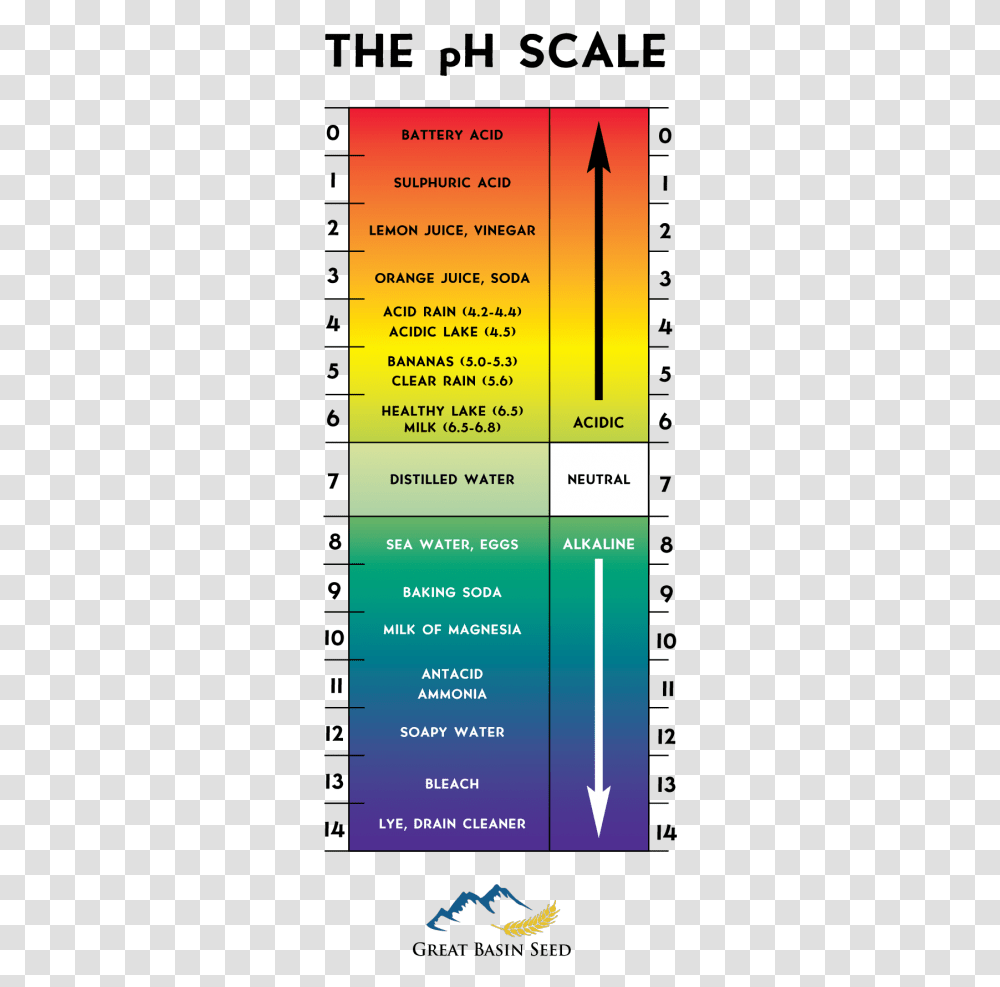 Ph Scale No Background Cartoons Ph Scale No Background, Number, Word Transparent Png