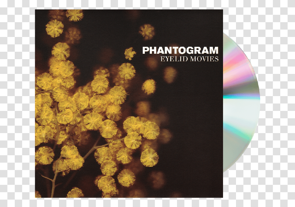 Phantogram Mouthful Of Diamonds, Plant, Flower, Blossom, Rug Transparent Png
