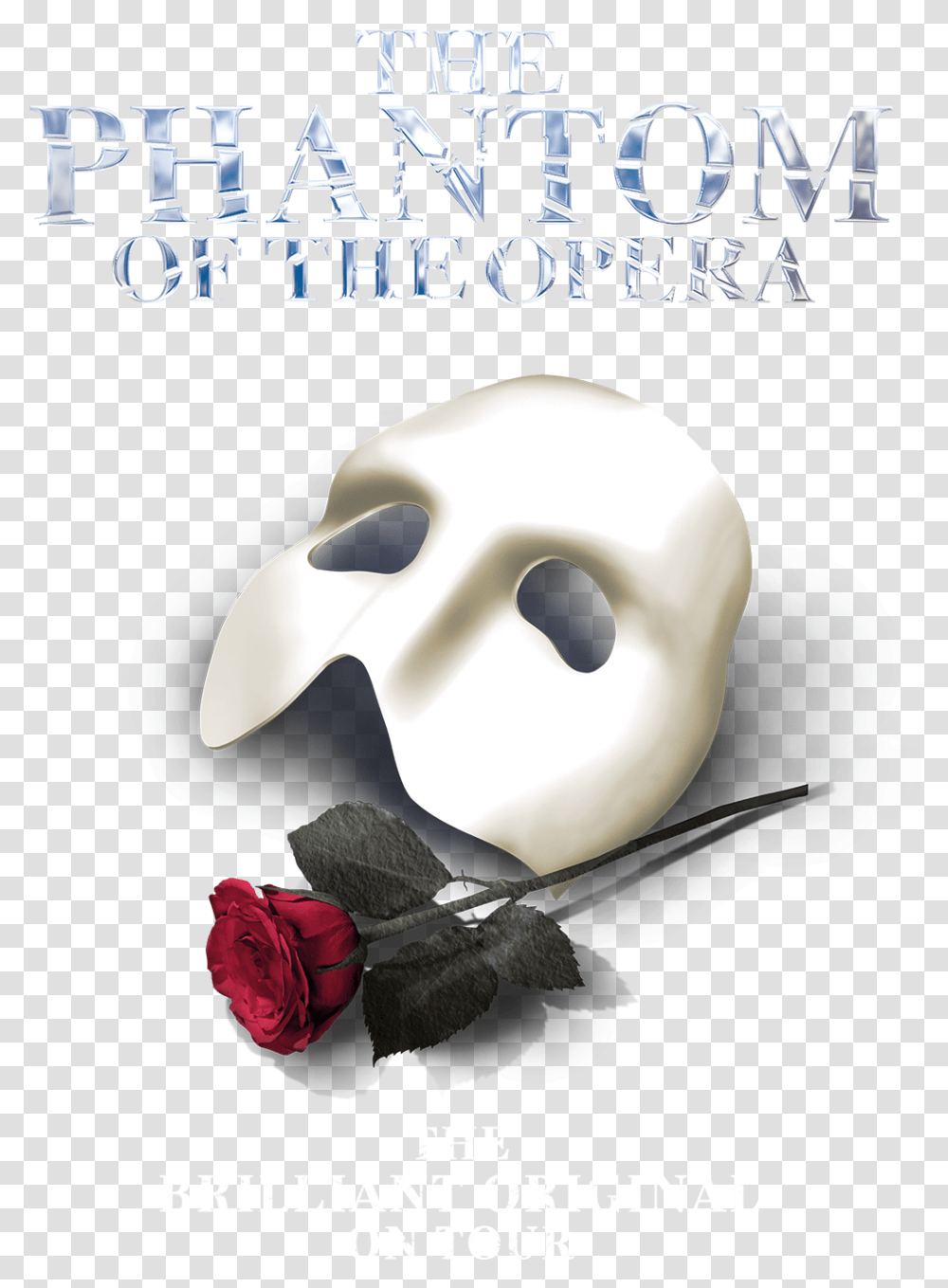 Phantom Of The Opera Mask And Rose, Flower, Plant, Blossom, Giant Panda Transparent Png