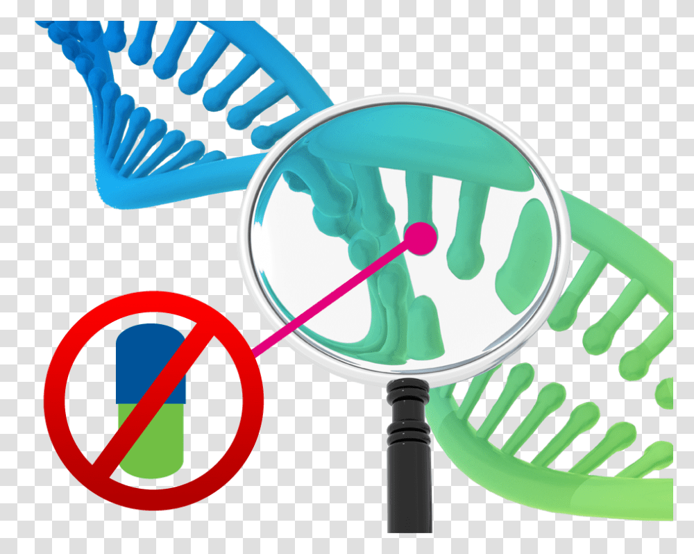 Pharmacogenomic Testing, Magnifying Transparent Png