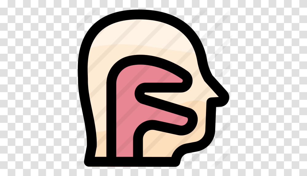 Pharynx Faringe Icono, Label, Text, Head, Face Transparent Png