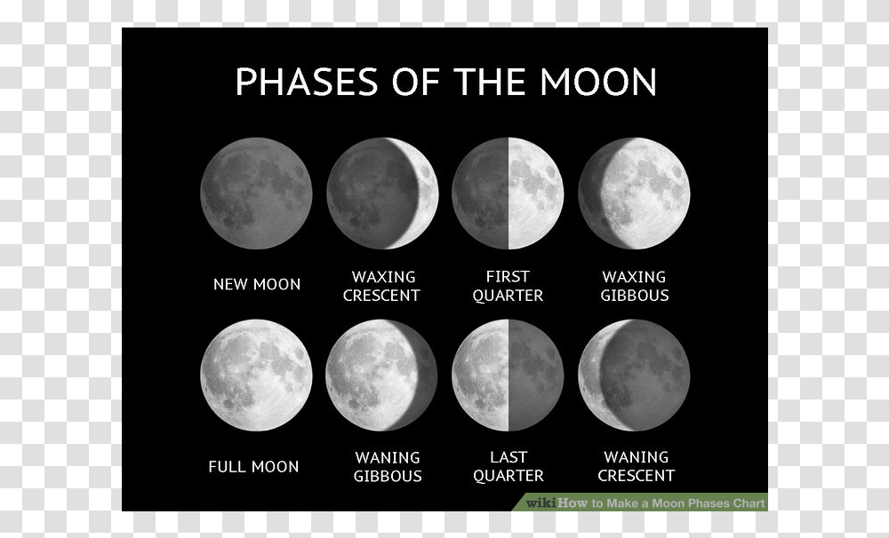 Phases Of The Moon, Nature, Outdoors, Astronomy, Outer Space Transparent Png