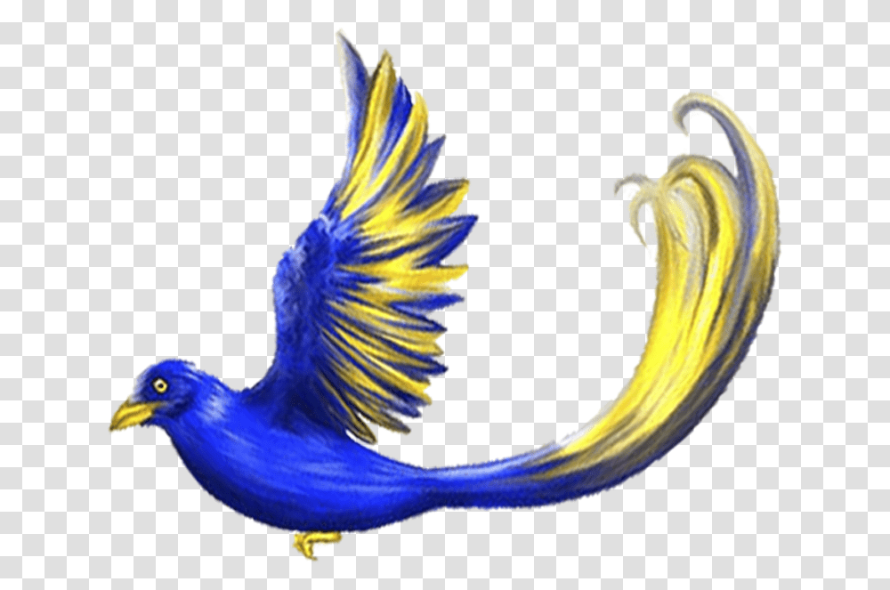 Phasianidae, Animal, Bird, Bluebird, Banana Transparent Png