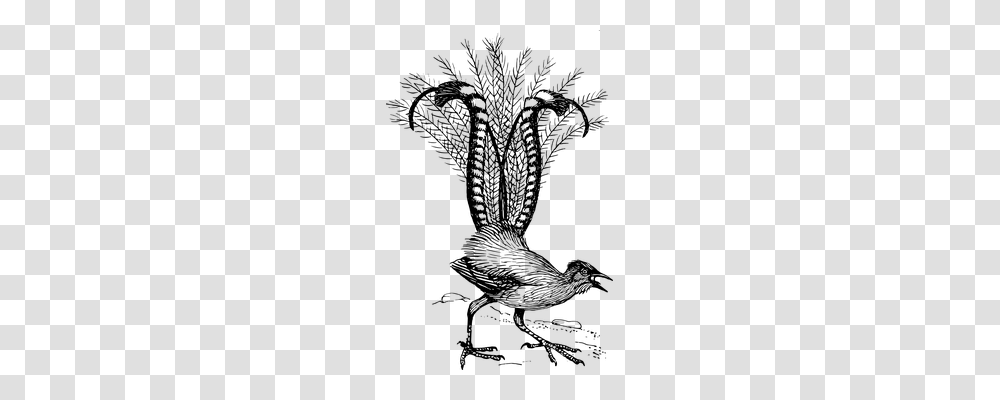 Pheasant Technology, Gray, World Of Warcraft Transparent Png