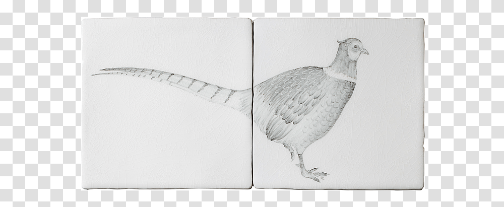 Pheasant 2 Tile Panel A By Marlborough Tiles Ring Necked Pheasant, Bird, Animal, Drawing Transparent Png
