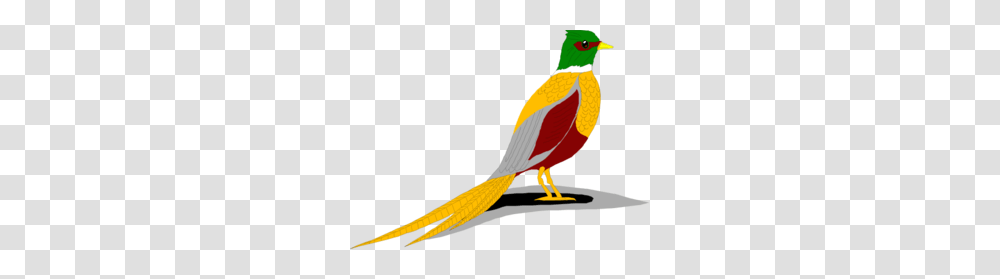 Pheasant Clipart Green, Bird, Animal, Beak, Hummingbird Transparent Png