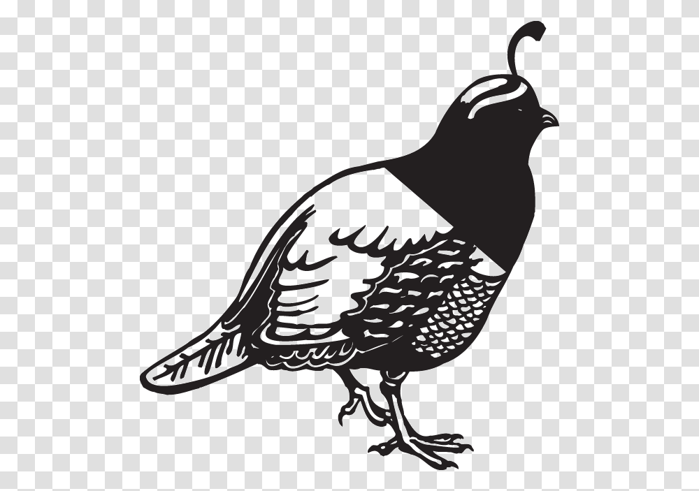 Pheasant Decal, Bird, Animal, Grouse Transparent Png