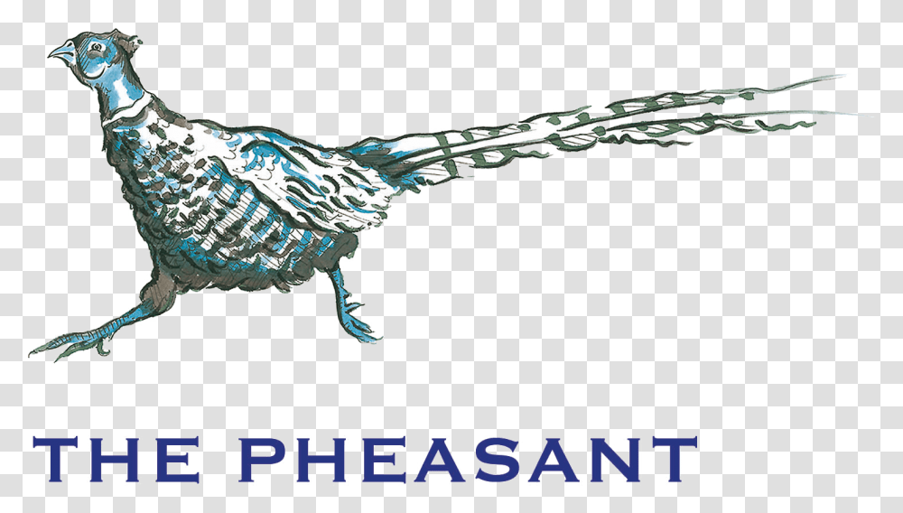 Pheasant Hotel, Animal, Bird, Jay, Word Transparent Png