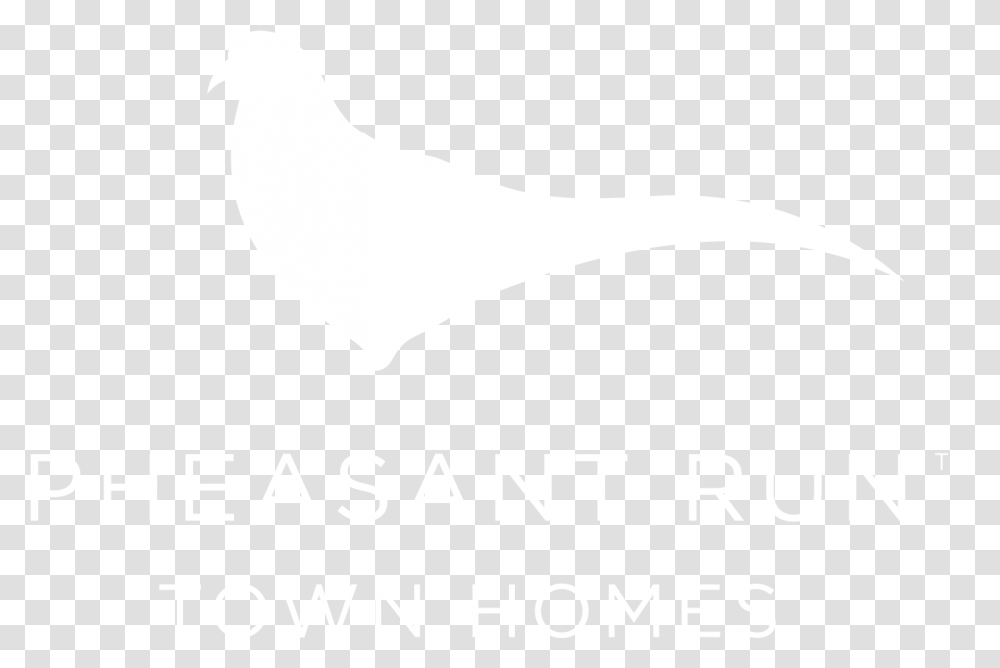 Pheasant Run Townhomes Pigeons And Doves, Animal, Bird Transparent Png