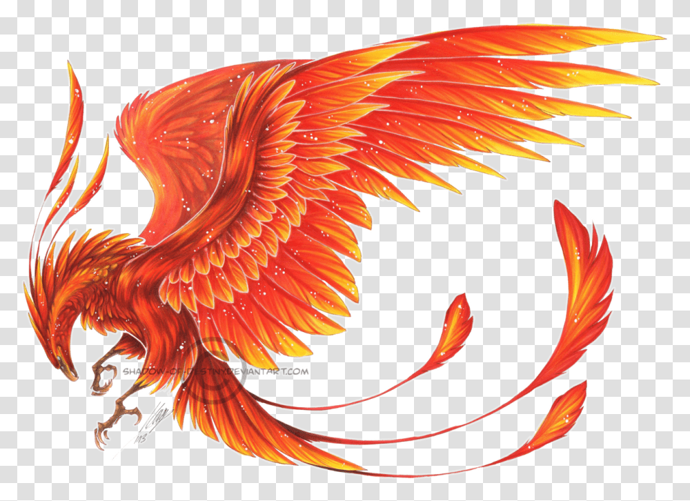 Pheonix Phoenix Bird Wing, Ornament, Pattern, Animal, Fractal Transparent Png