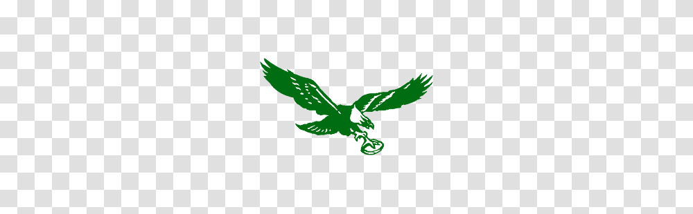 Philadelphia Eagles Clipart Fly, Flying, Bird, Animal, Jay Transparent Png