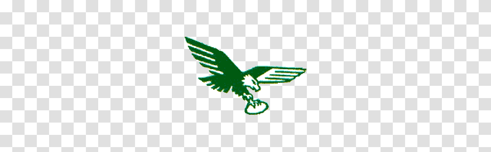 Philadelphia Eagles Primary Logo Sports Logo History, Bird, Animal, Flying, Hawk Transparent Png