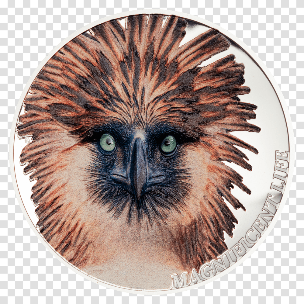 Philippine Eagle Magnificent Life 1 Oz Silver Coin, Rug, Owl, Bird, Animal Transparent Png