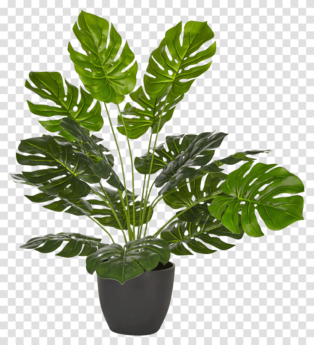 Philodendron Artificiel En Pot H50cm Philo Flowerpot, Leaf, Plant, Green, Potted Plant Transparent Png