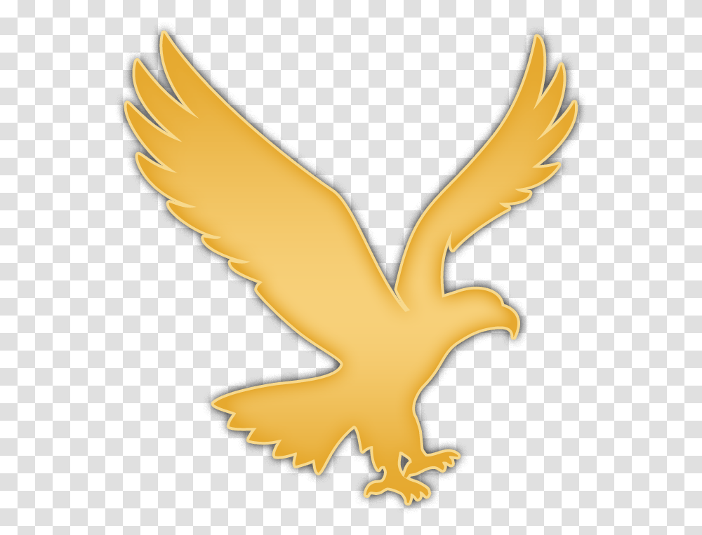 Phladelpha Eagles Logo Golden Eagles Logo, Bird, Animal, Hawk Transparent Png