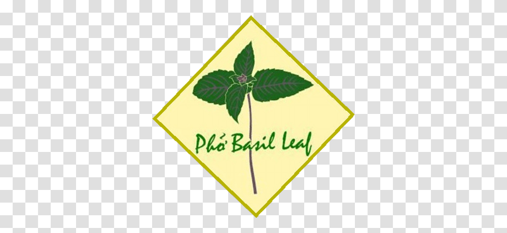 Pho Basil Leaf, Plant, Seed, Grain, Produce Transparent Png