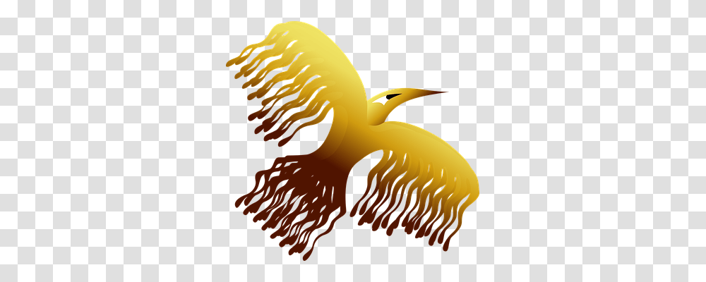 Phoenix Animals, Banana, Food, Mammal Transparent Png