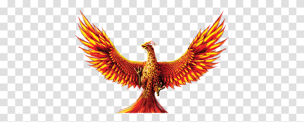 Phoenix 3 Image, Pattern, Ornament, Fractal, Bird Transparent Png