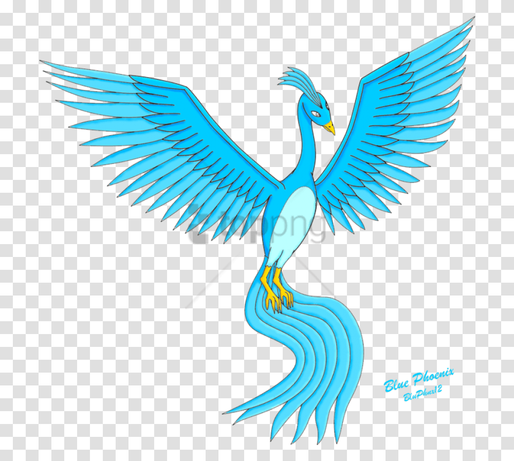 Phoenix Bird, Animal, Eagle, Flying Transparent Png