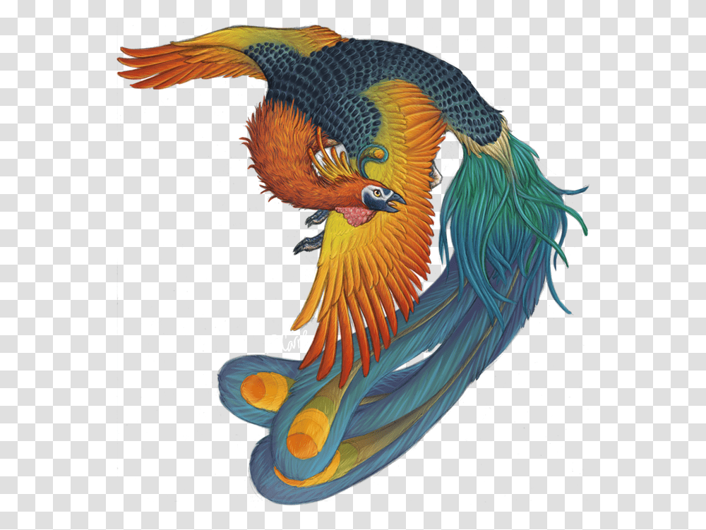 Phoenix Bird Harry Potter Fenghuang Monster Full Size Bird Feng Huang, Animal, Chicken, Poultry, Fowl Transparent Png