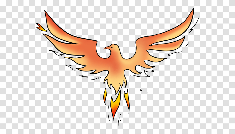 Phoenix Bird Ibong Adarna Easy Drawing, Eagle, Animal, Symbol, Emblem Transparent Png