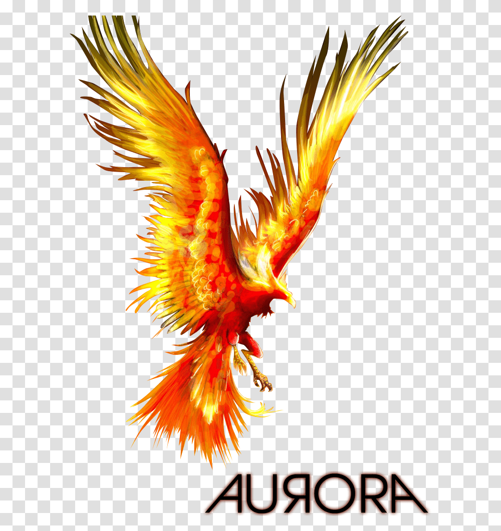 Phoenix Bird Image Phoenix Firebird, Dragon, Bonfire, Flame, Art Transparent Png