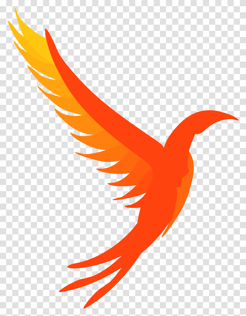 Phoenix Bird Logo Illumos, Animal, Flamingo, Flying, Waterfowl Transparent Png