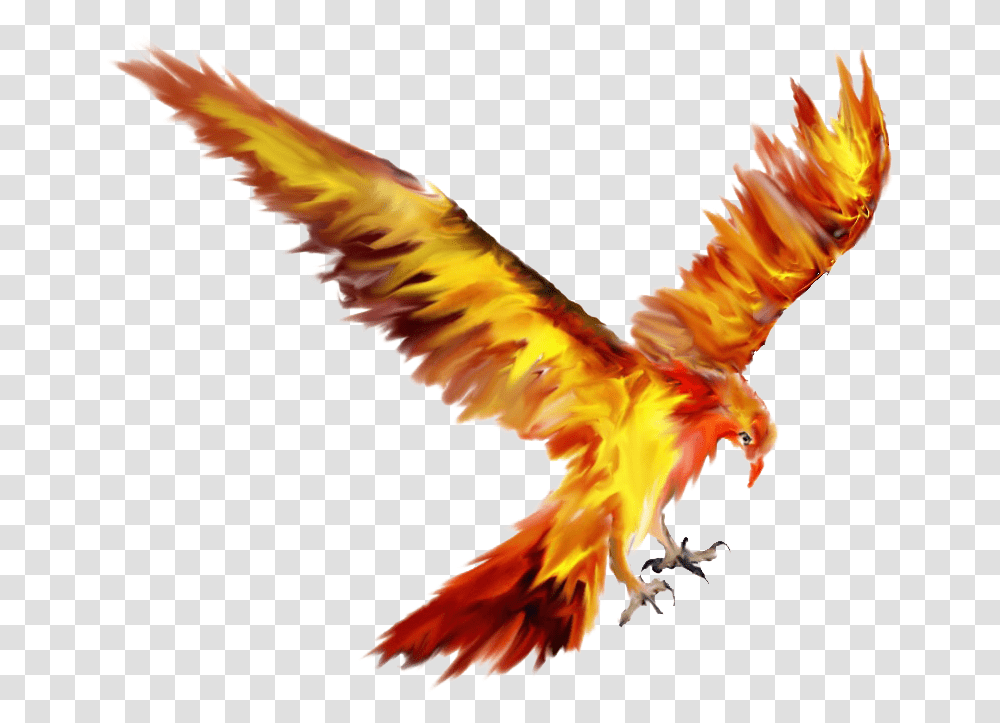Phoenix Bird Tattoo Sketch Drawing Fawkes The Phoenix Drawing, Animal, Flying, Kite Bird, Hummingbird Transparent Png