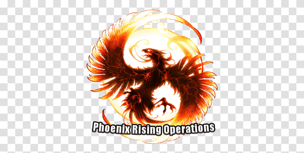 Phoenix Bot Phoenix Dragon Yin Yang, Fire, Flame, Halloween Transparent Png