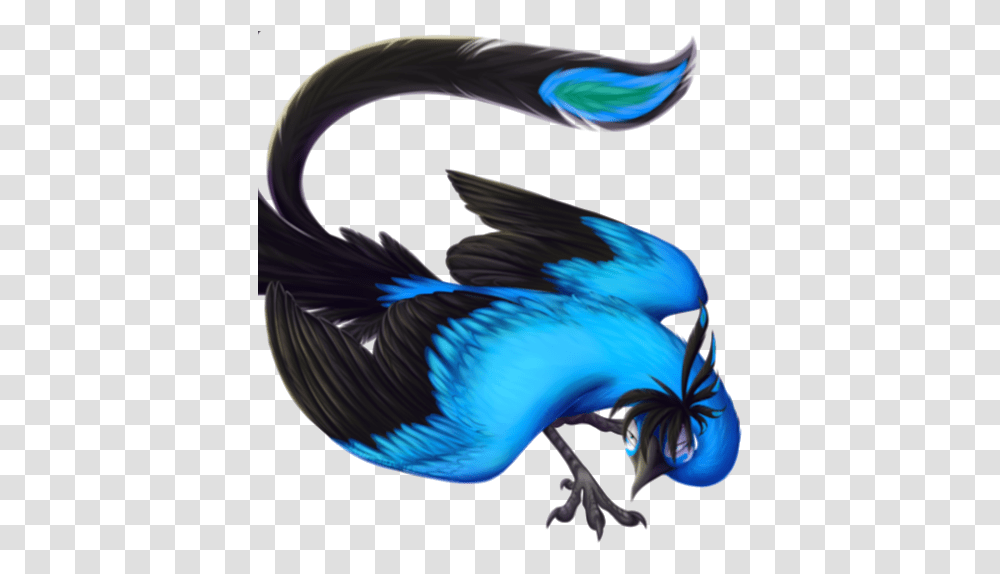 Phoenix Clipart Background Imagenes De Un Fenix Azul, Bird, Animal, Dragon Transparent Png