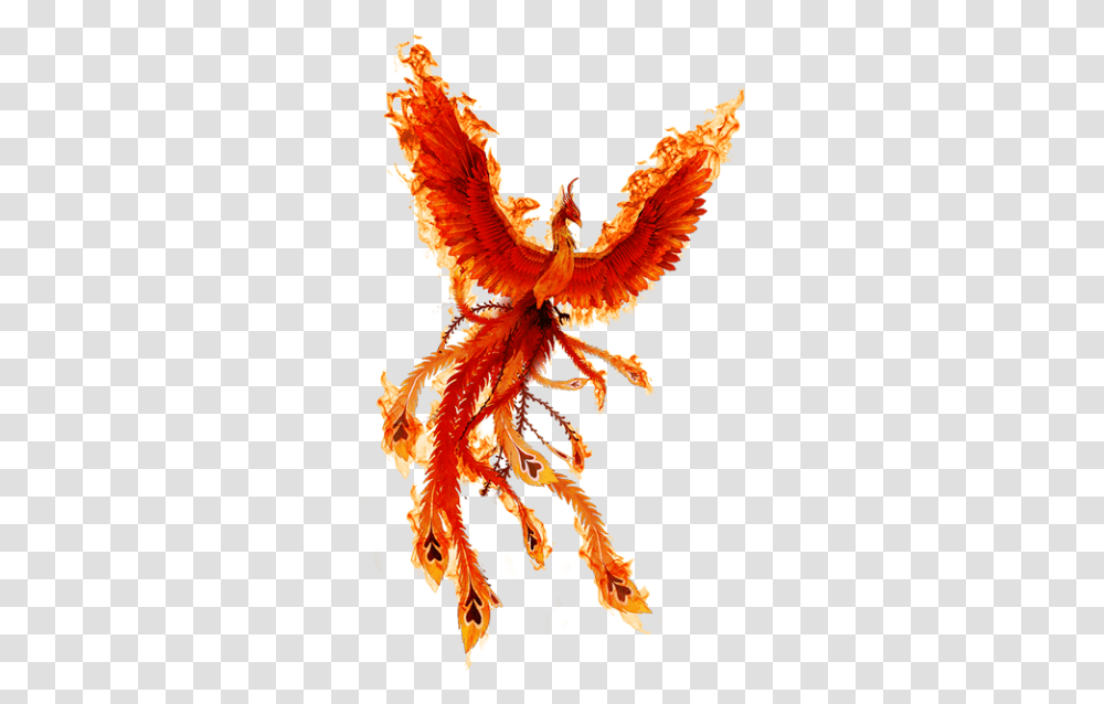 Phoenix Fire Bird Icon 21293 Transparentpng Fire Phoenix Bird, Art, Photography, Crowd, Animal Transparent Png