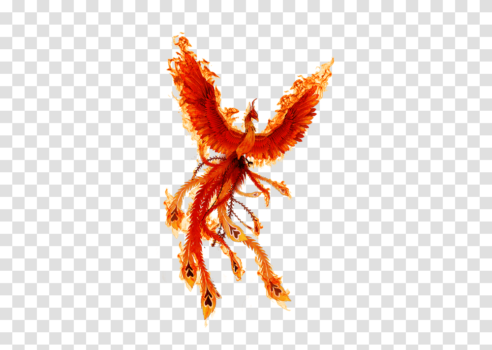 Phoenix Fire Bird Icon Fire Phoenix, Graphics, Art, Crowd, Dragon Transparent Png