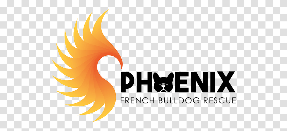 Phoenix French Bulldog Rescue Phoenix French Bulldog, Logo, Trademark, Fire Transparent Png