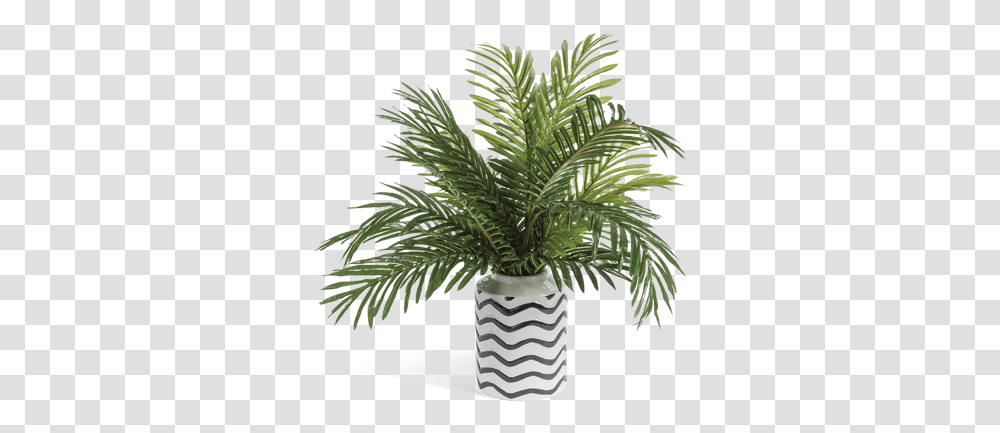 Phoenix Palm Abstract Vase Greenery ArrangementTitle Palm Tree In Vase, Plant, Potted Plant, Jar, Pottery Transparent Png
