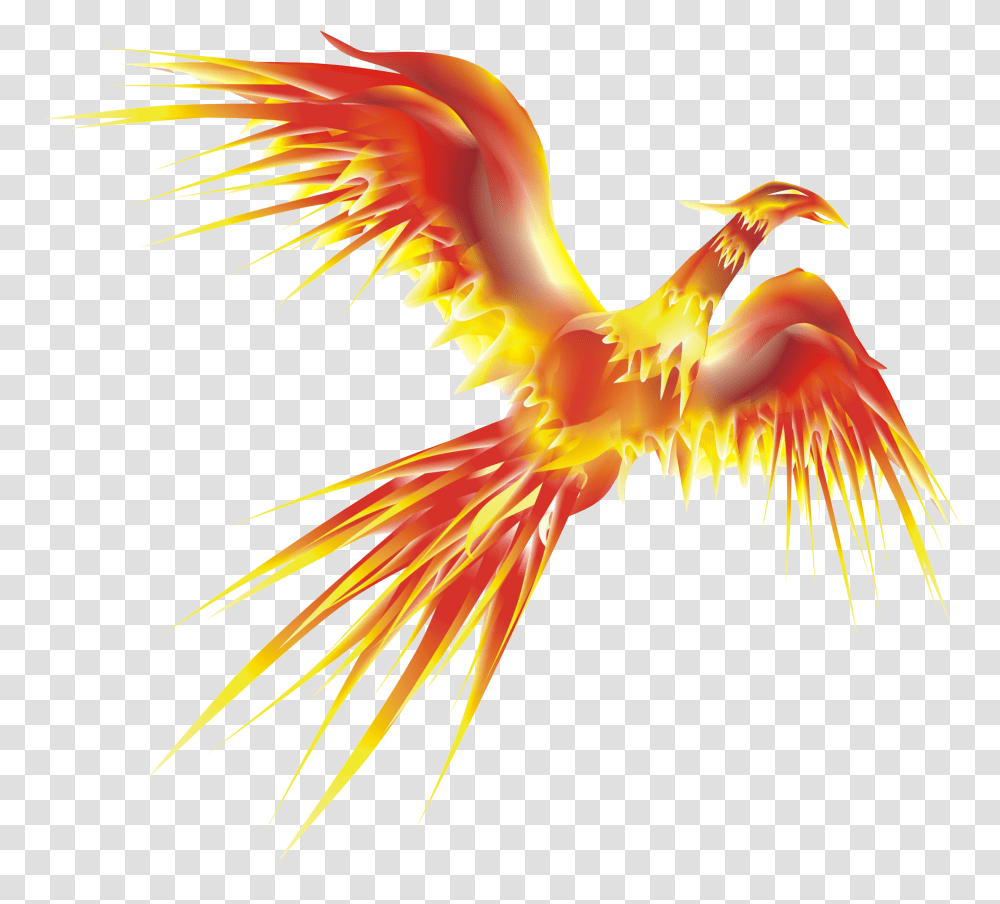 Phoenix Phoenix Images, Animal, Bird Transparent Png