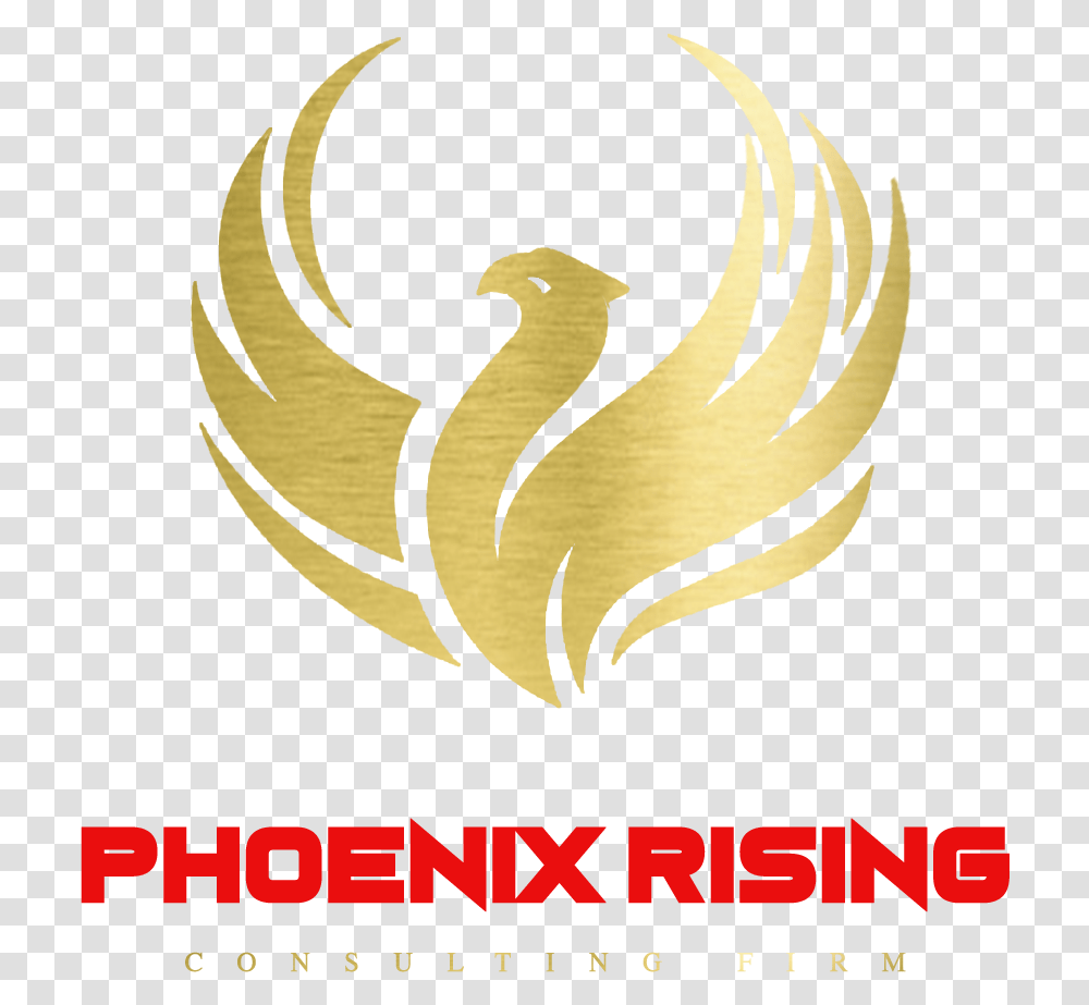 Phoenix Rising, Poster, Advertisement, Bird, Animal Transparent Png
