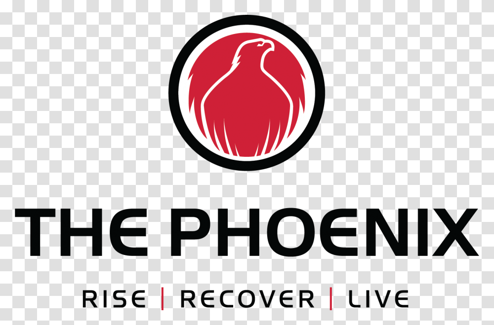 Phoenix Sober Logo, Trademark, Word Transparent Png