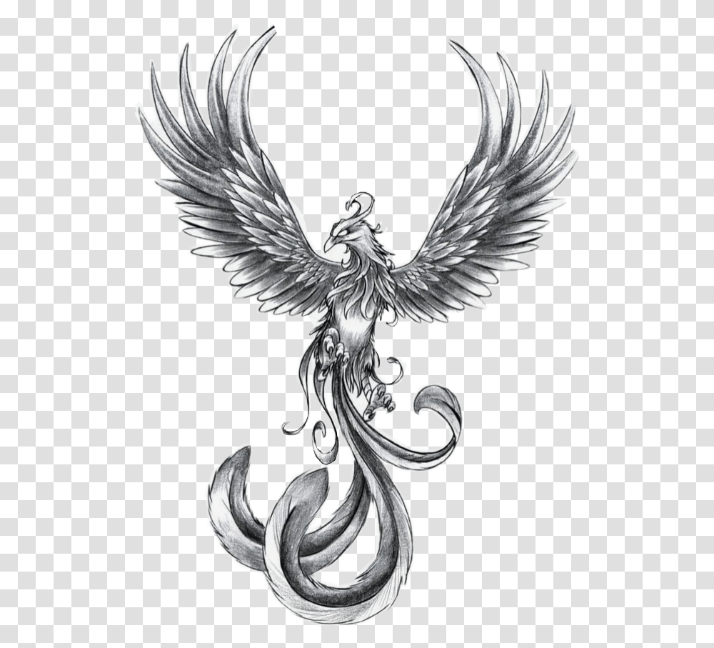 Phoenix Tattoo Ideas, Bird, Animal, Angel Transparent Png